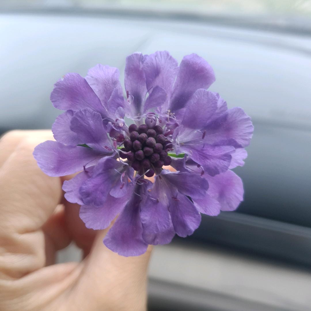 风雨彩虹🌹🌹