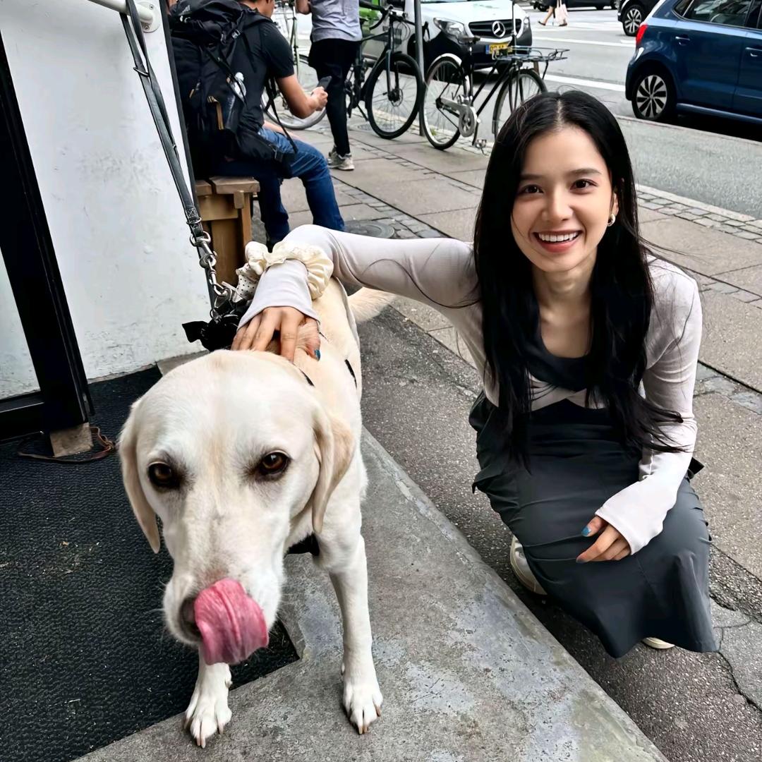 婧一只🐷