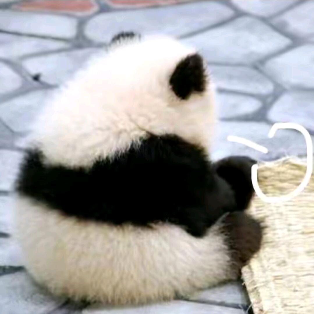 🔥幼儿园大佬⁶⁸¹