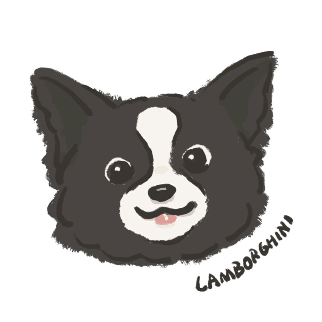 👑兰博基尼大王