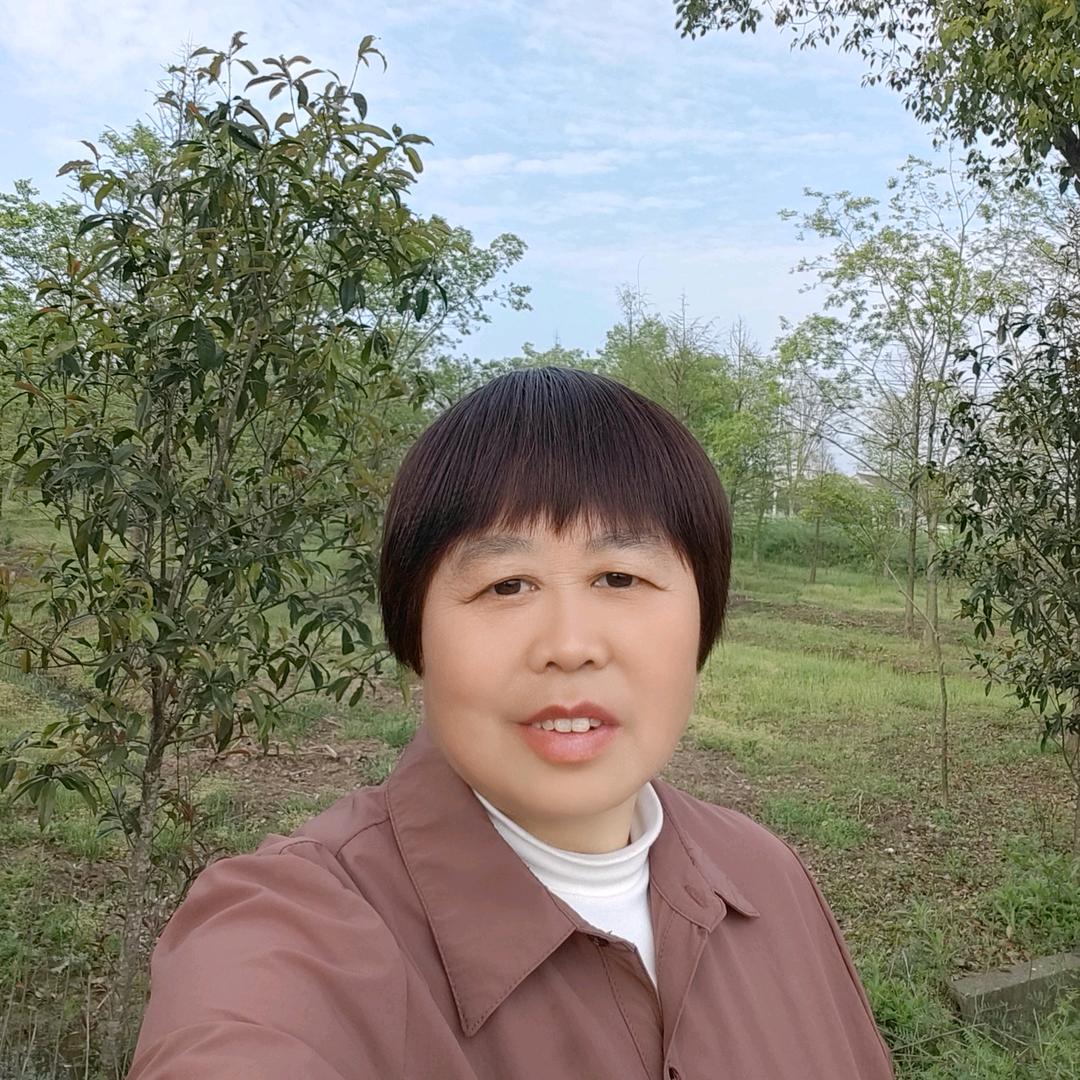 聪姐