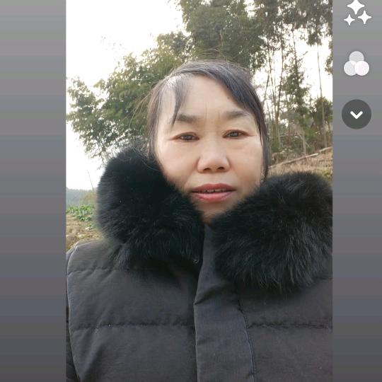 英菊子