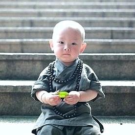 天津甲博士总部