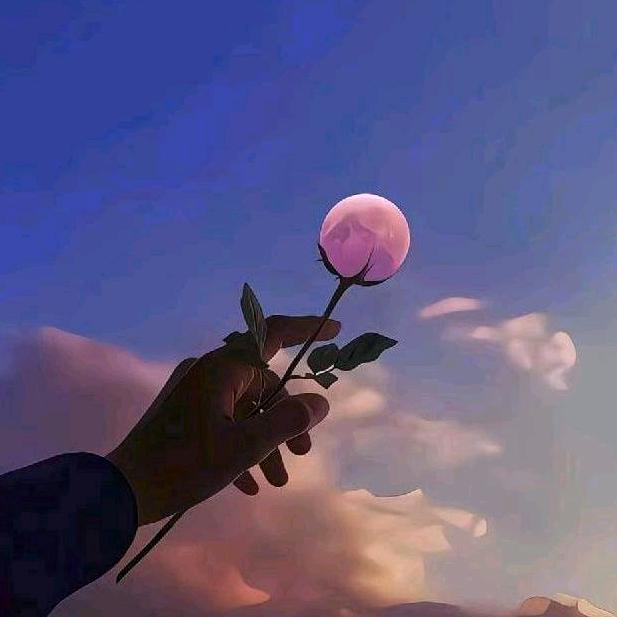三月桃花开🌸