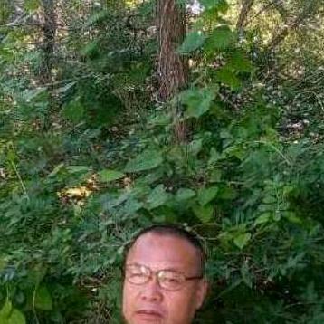 威龙在现