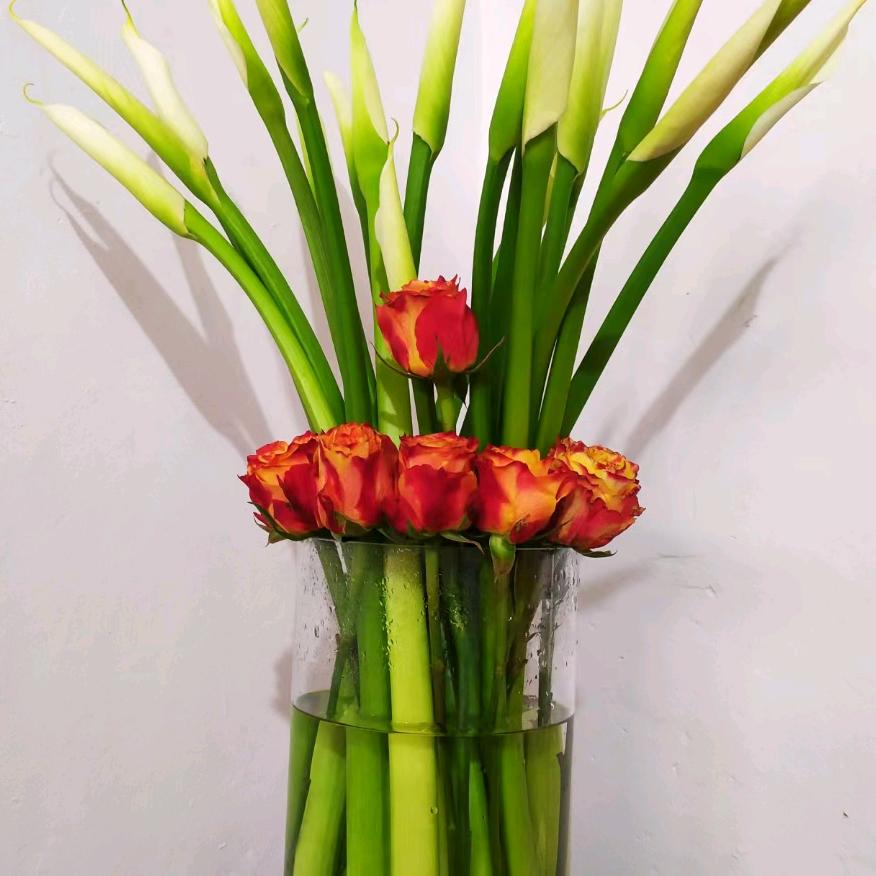 上善若水上善若水