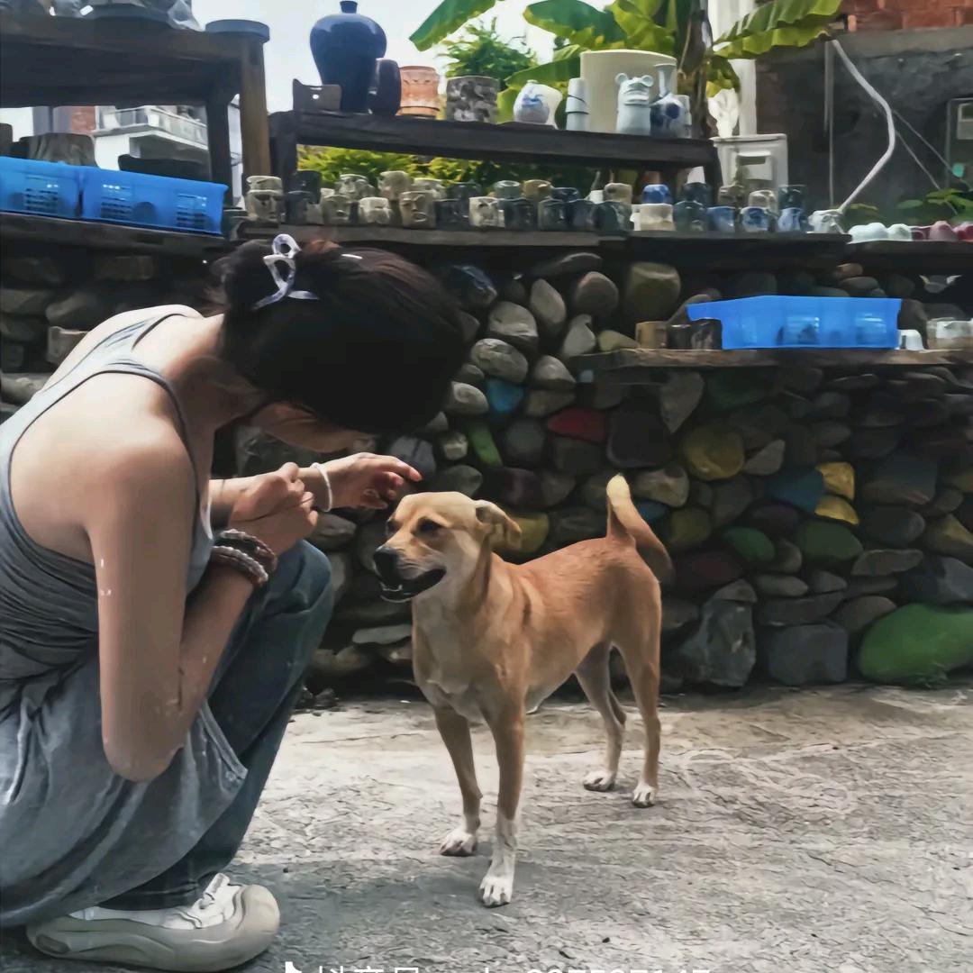 记忆模糊
