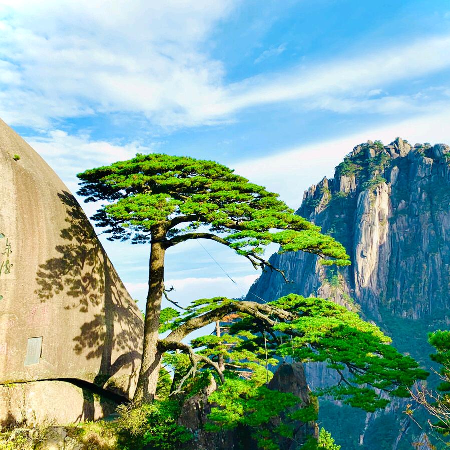 唐老师～智趣小课堂