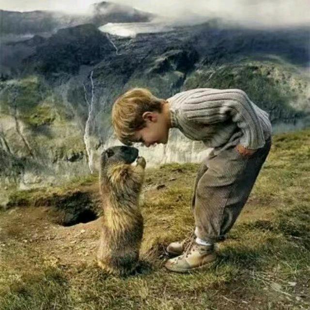 镇平★商混业务