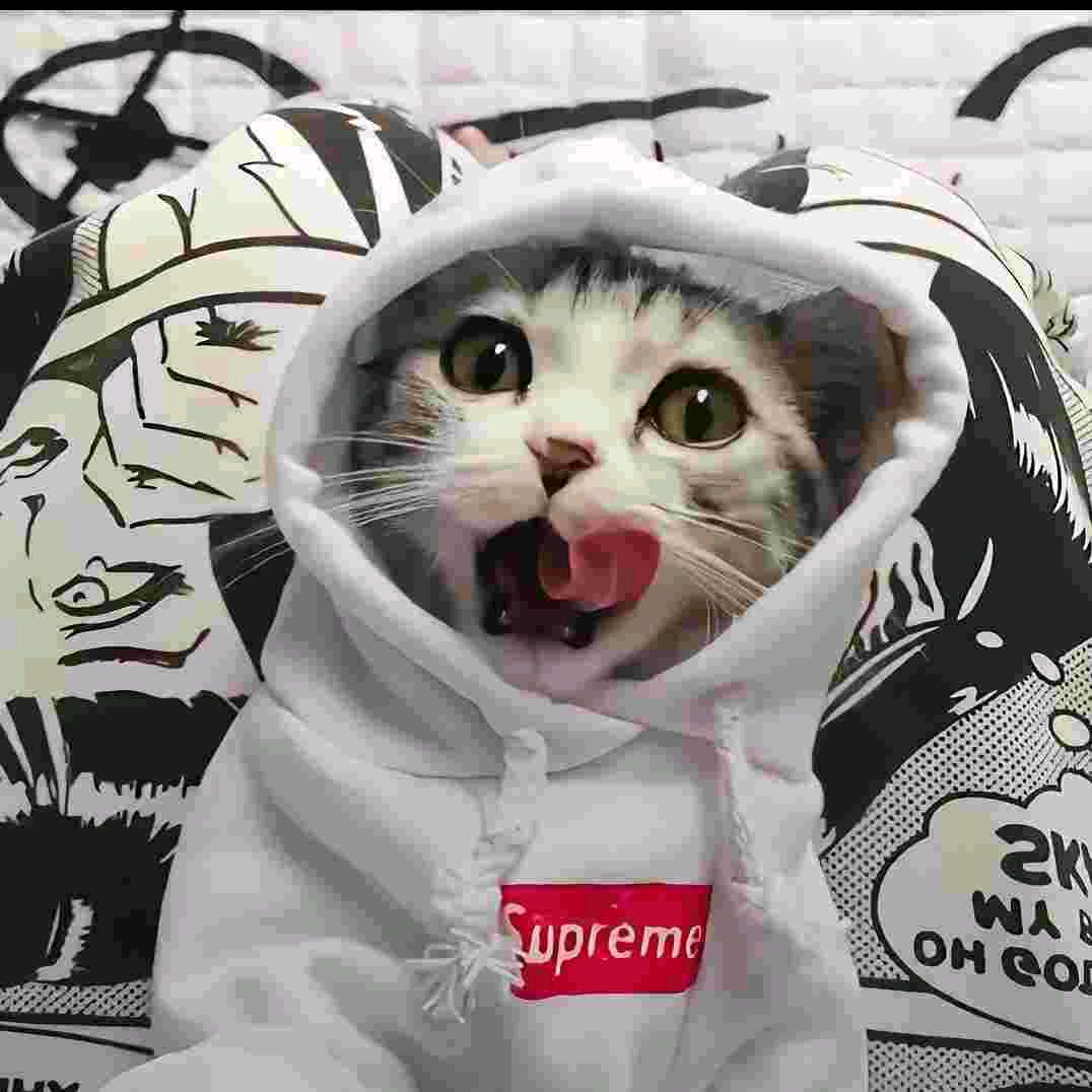 爱玩游戏的非凡