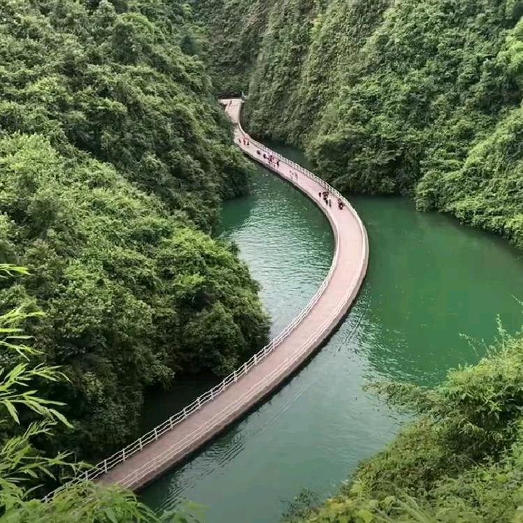 范大哥