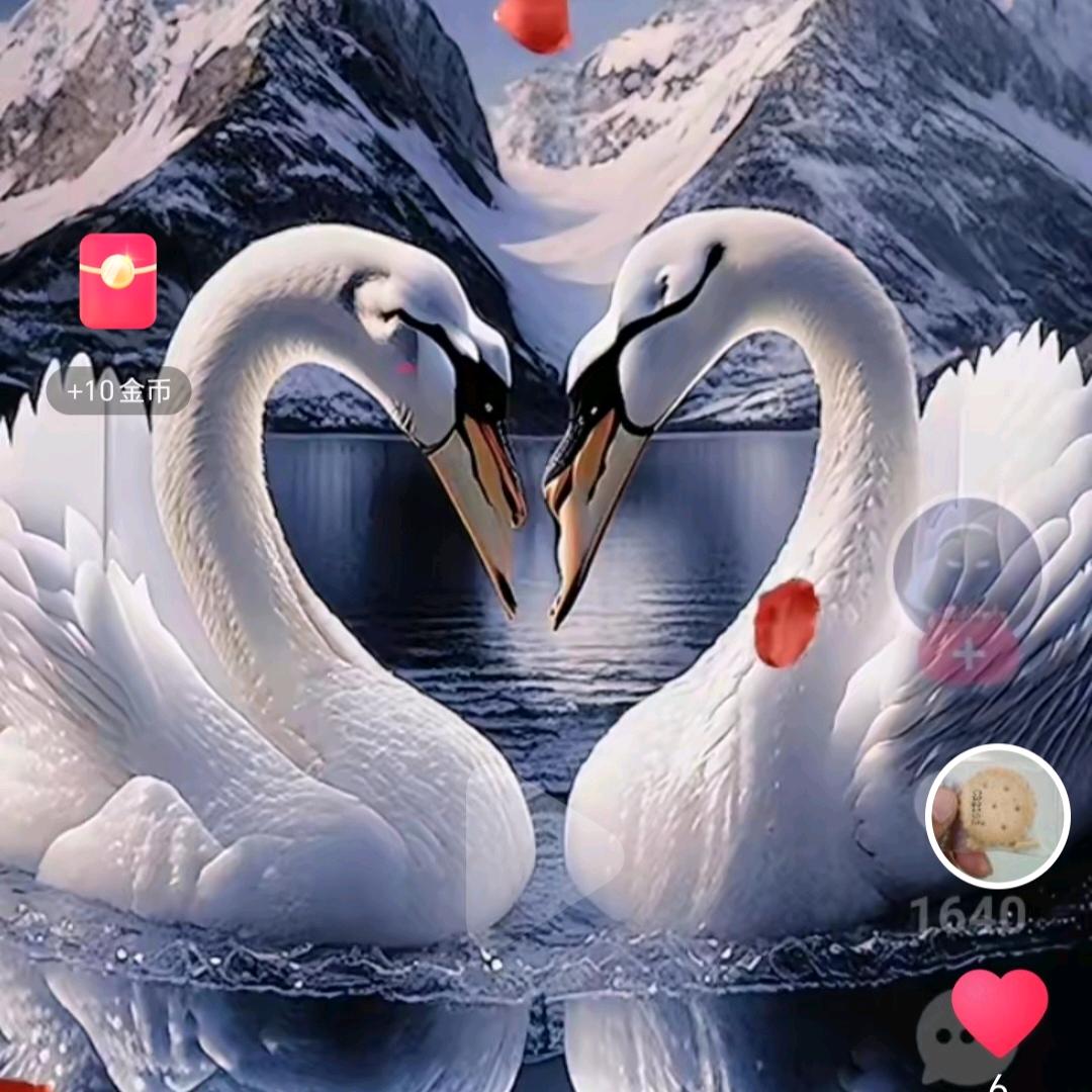 💞孤独的人💫孤独的心💞哦