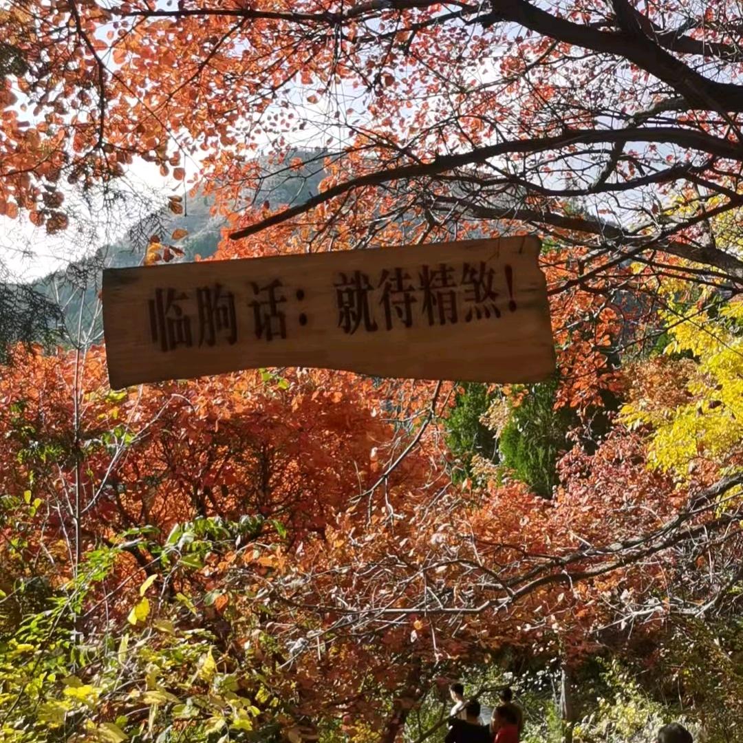 张淑波