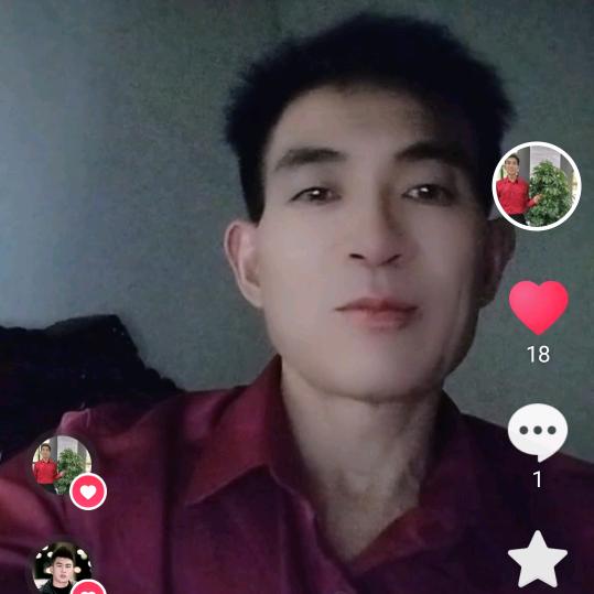 毛。哥