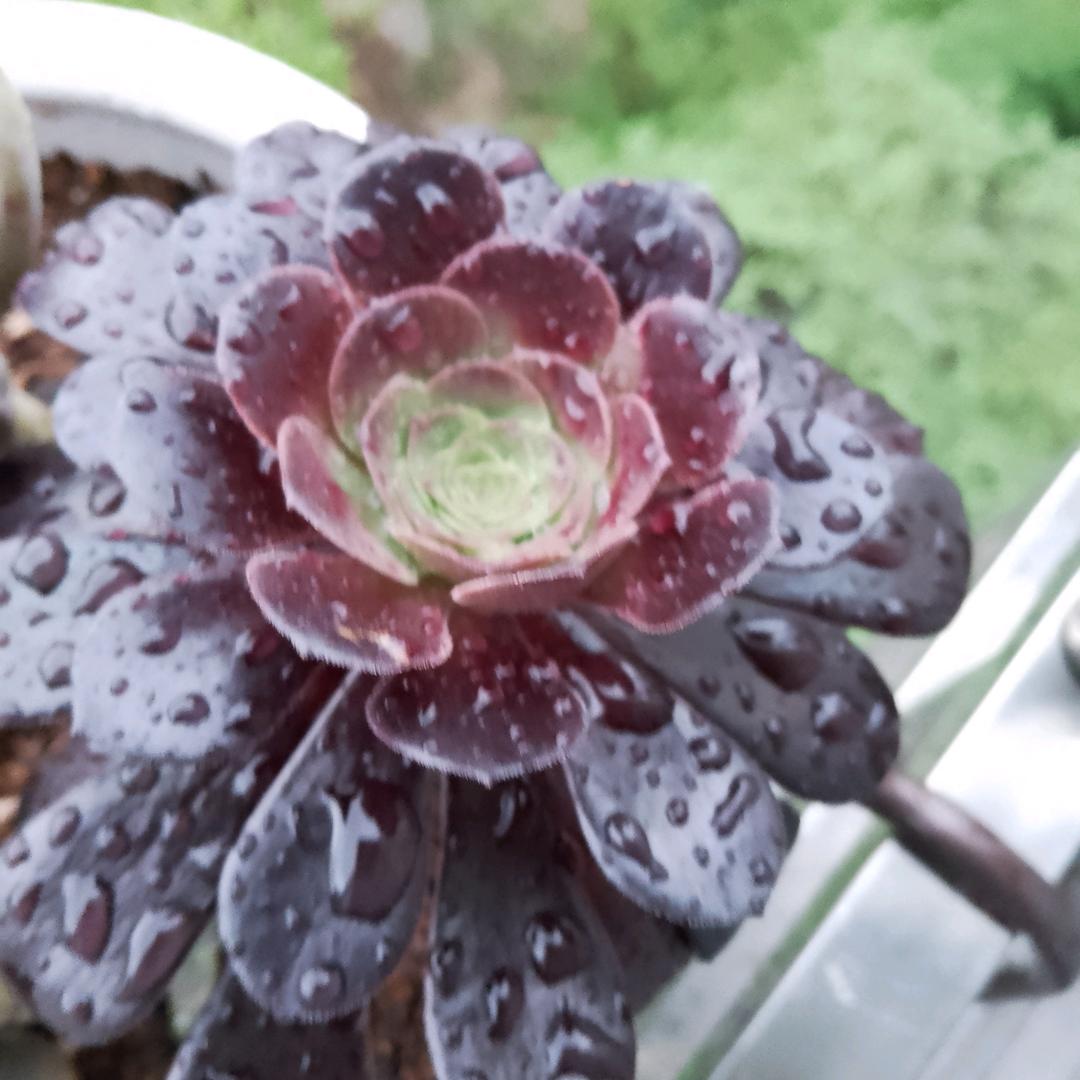 用户6843299945092李菊