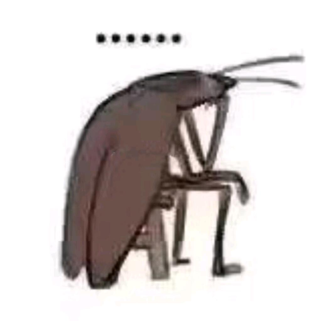 卑微做饭人