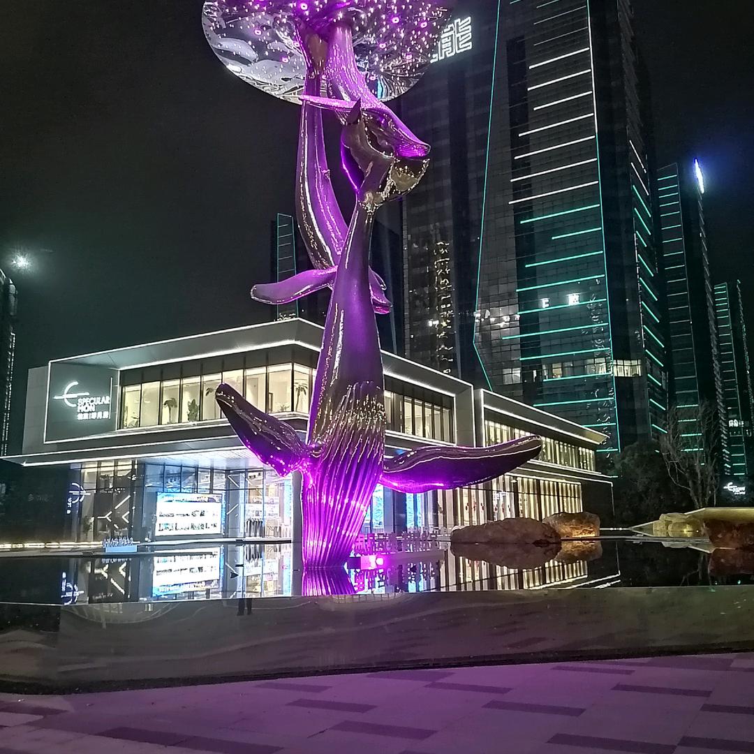 独自天涯🚴‍♀️