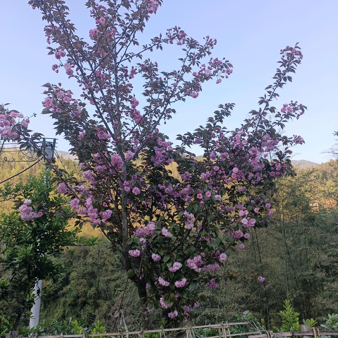 不求富贵，只求平安