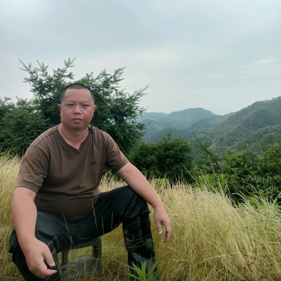 香榧小马哥