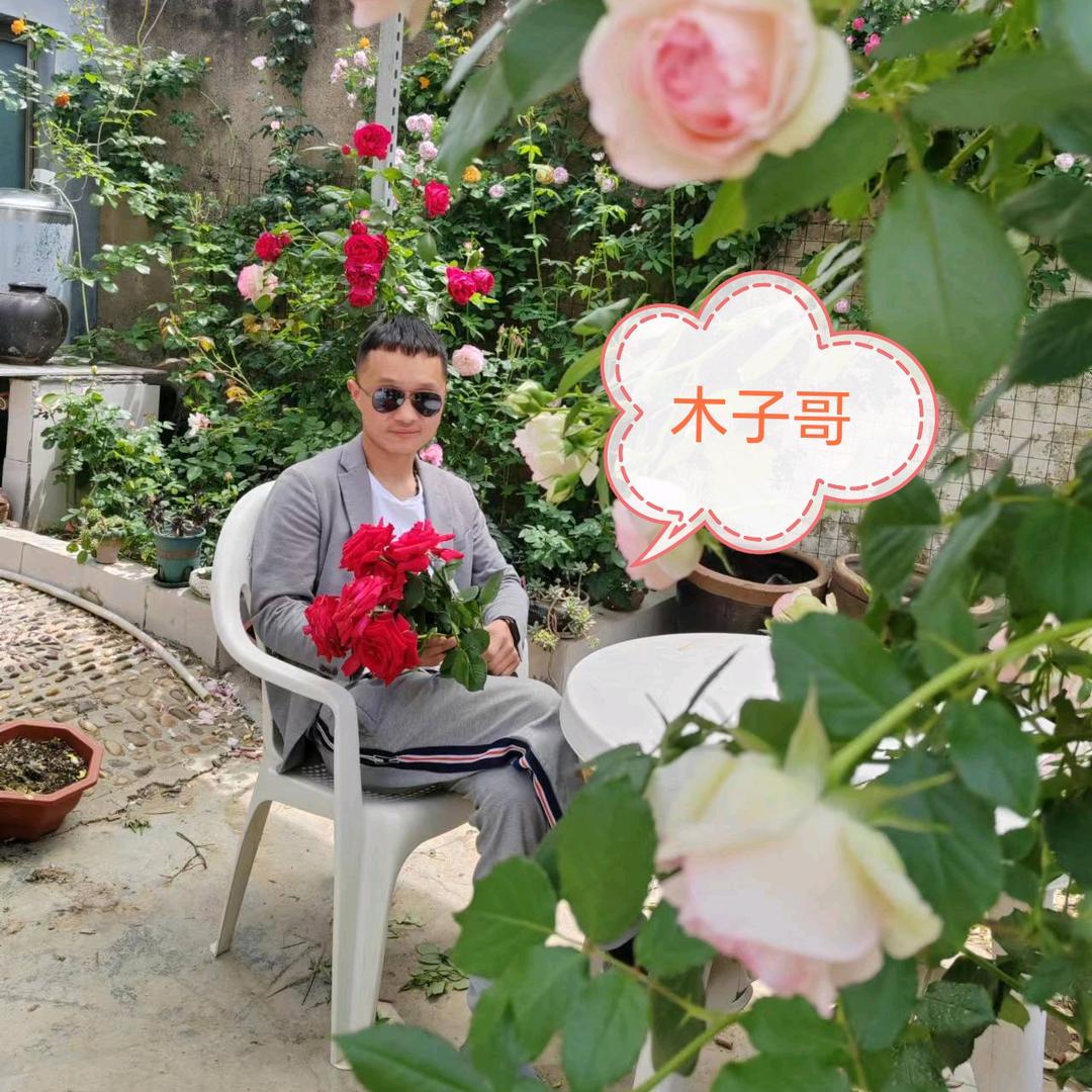 木子哥