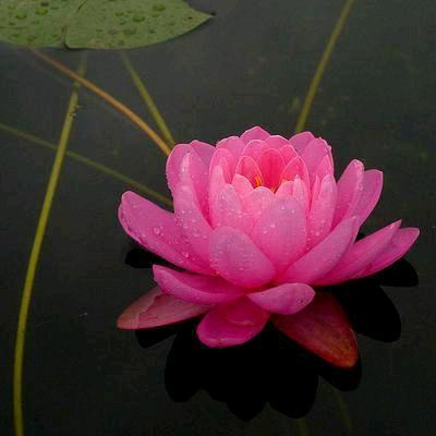 幸福一生