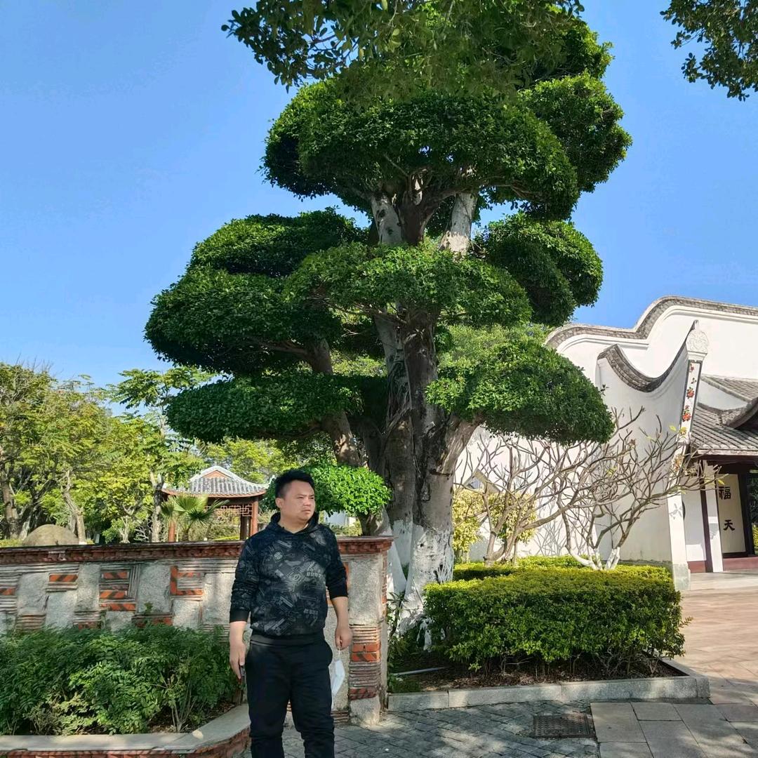 随风☞
