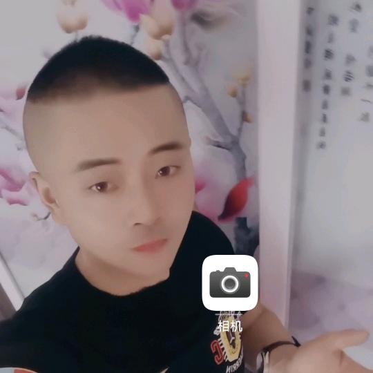 神牛宏稻