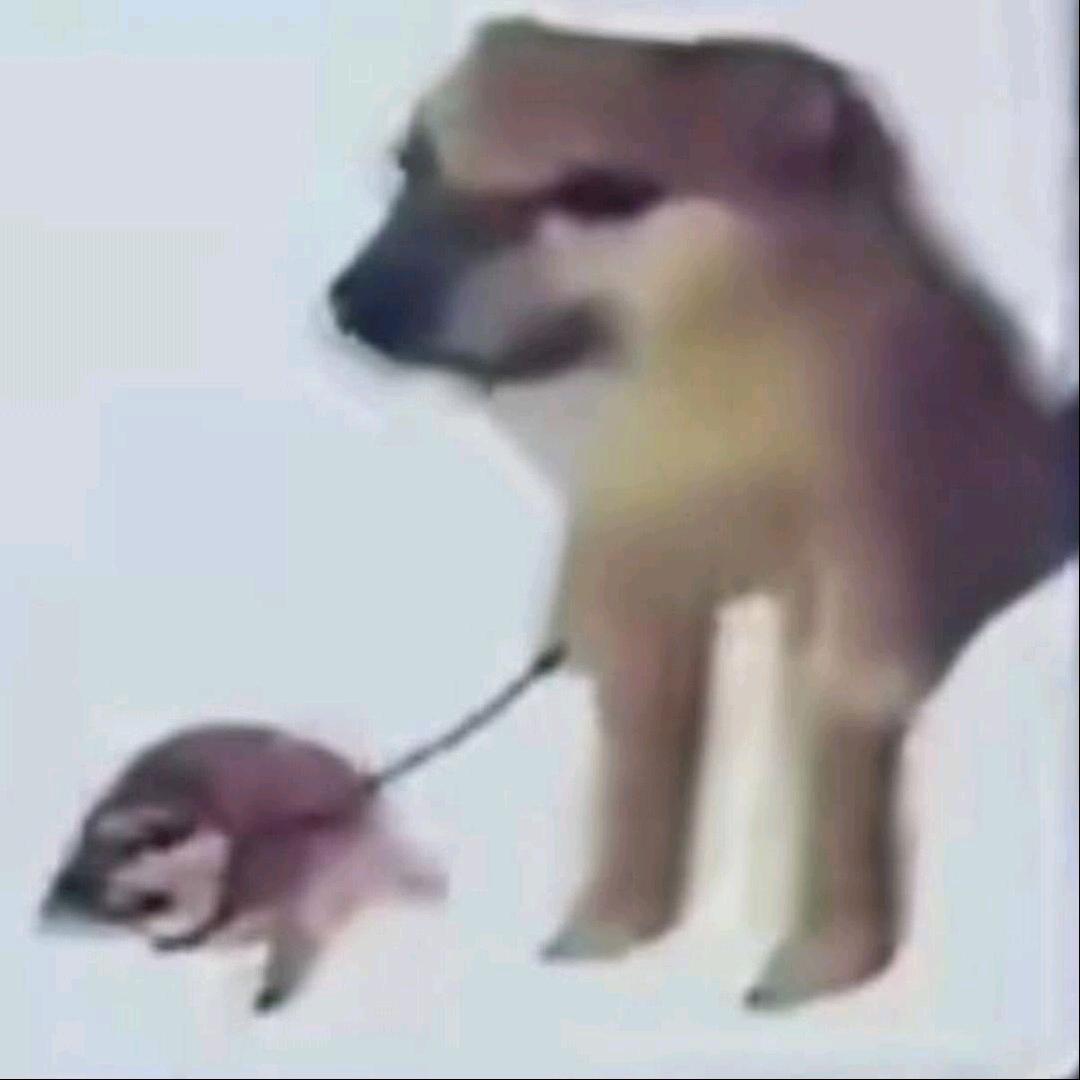 阿米喏嘶