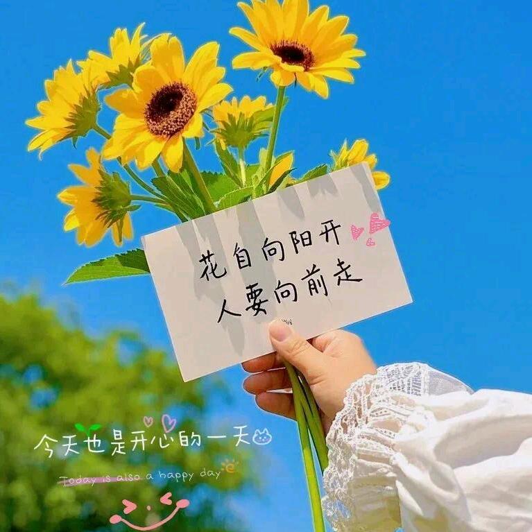 向阳而生，温暖如初