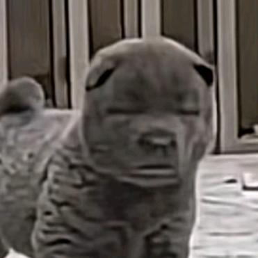 ── 展开7条回复 ⌵