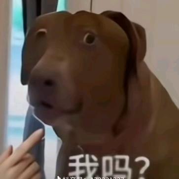 嗨，你好。