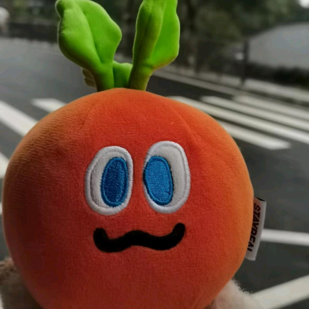 胡萝卜胡了