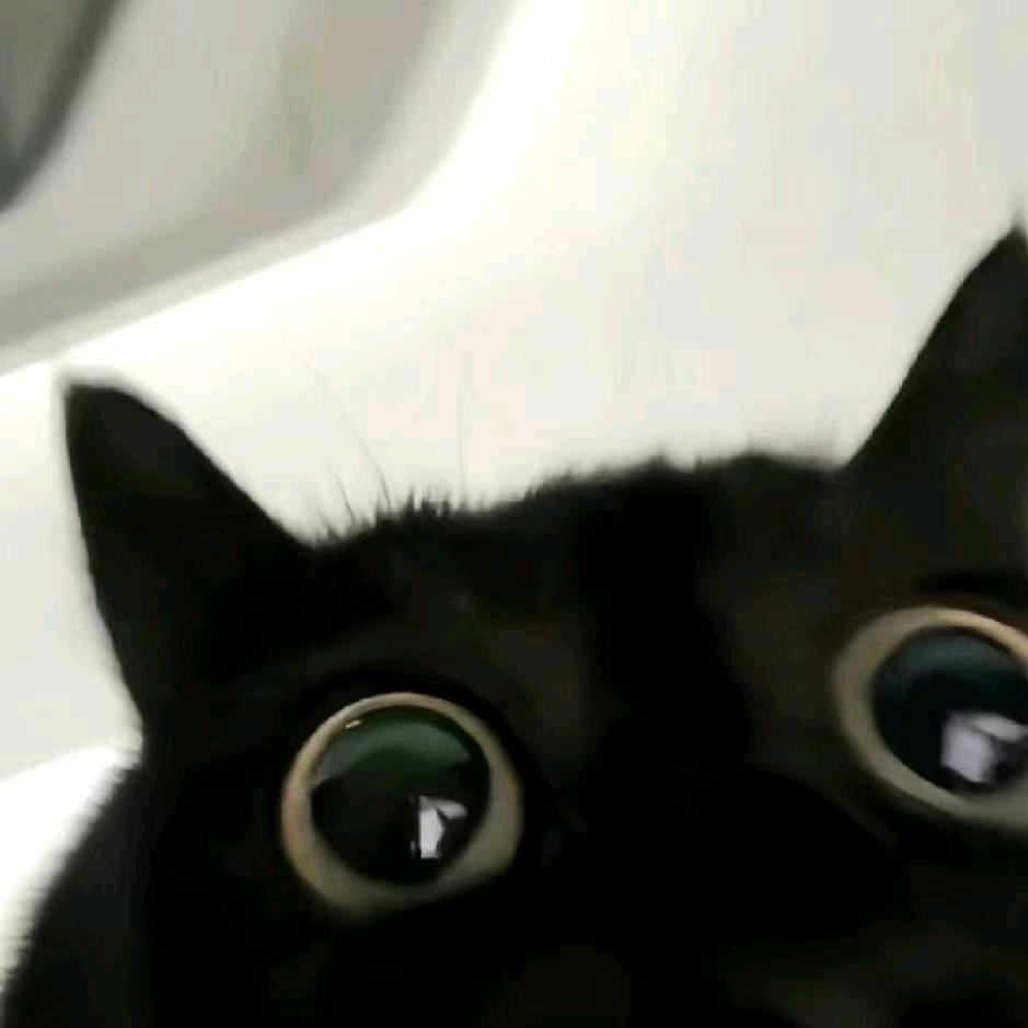 liiiii
