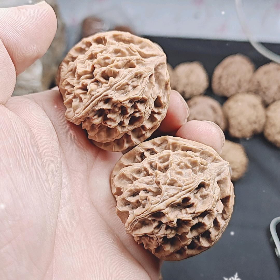 御核缘玩核