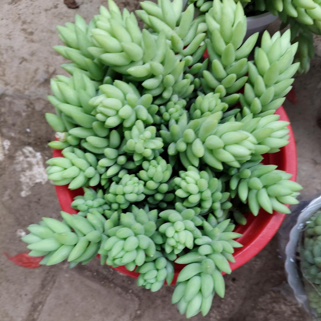 生活就是这样