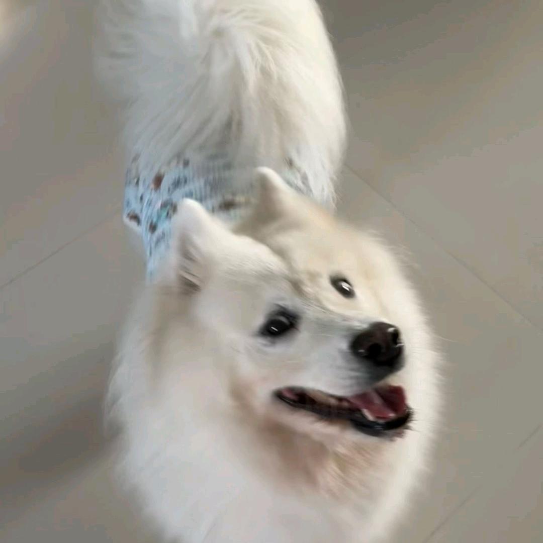 yuki1.