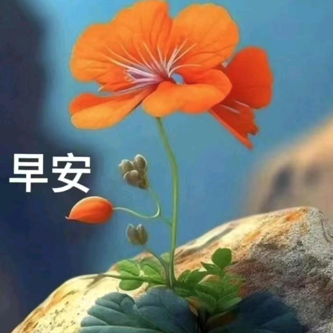 ××妞的亲外婆