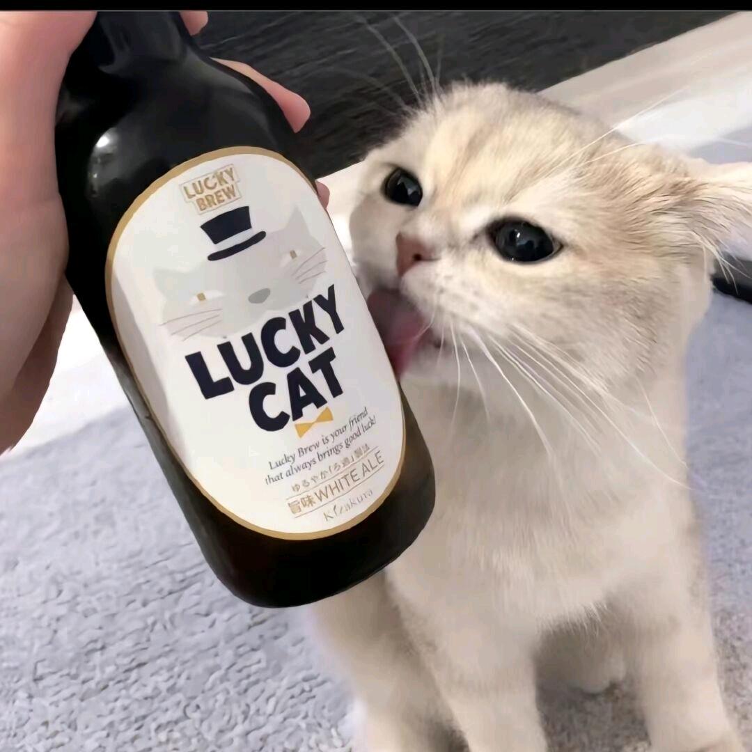 反方向的大笨钟