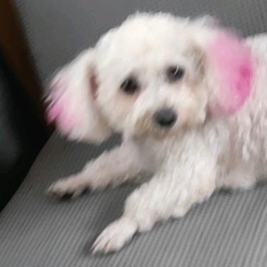 🌝🌝倾城🌝🌝