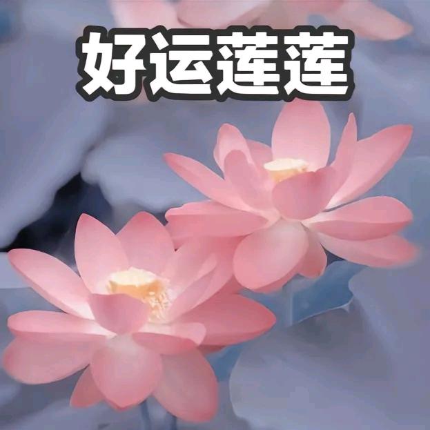 花开花落