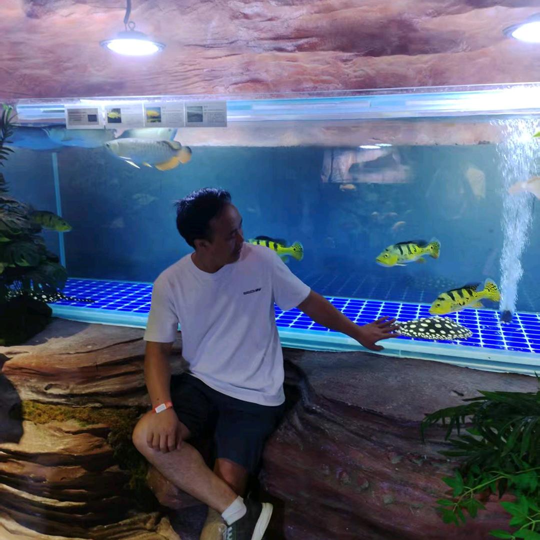 纵横四海