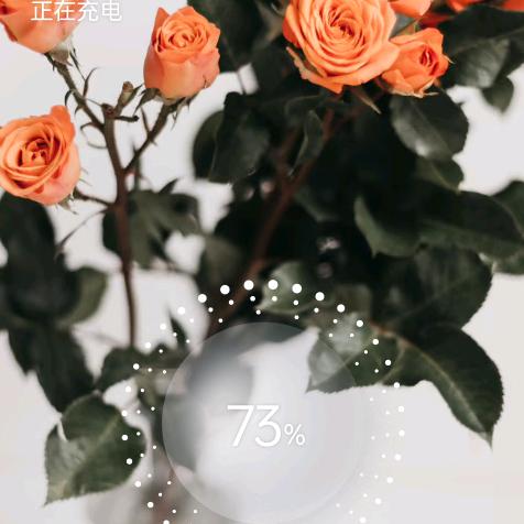 诚信栽花队