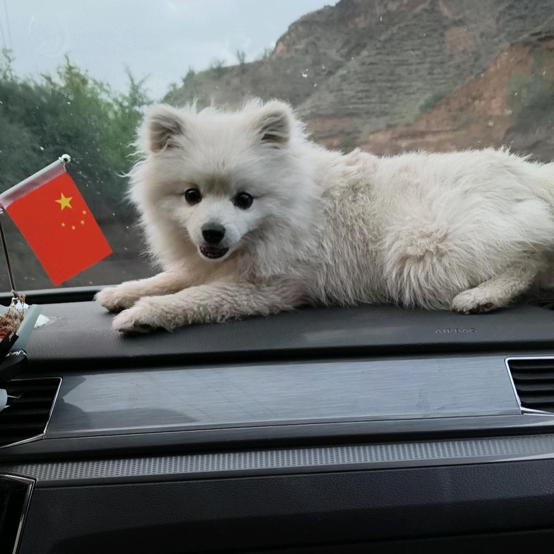 外墙保温真石漆努力宝贝