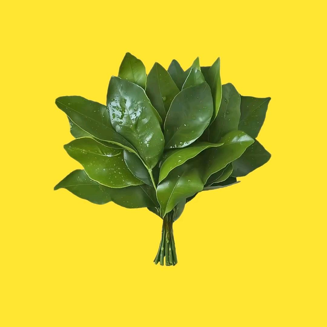 芳芳😎