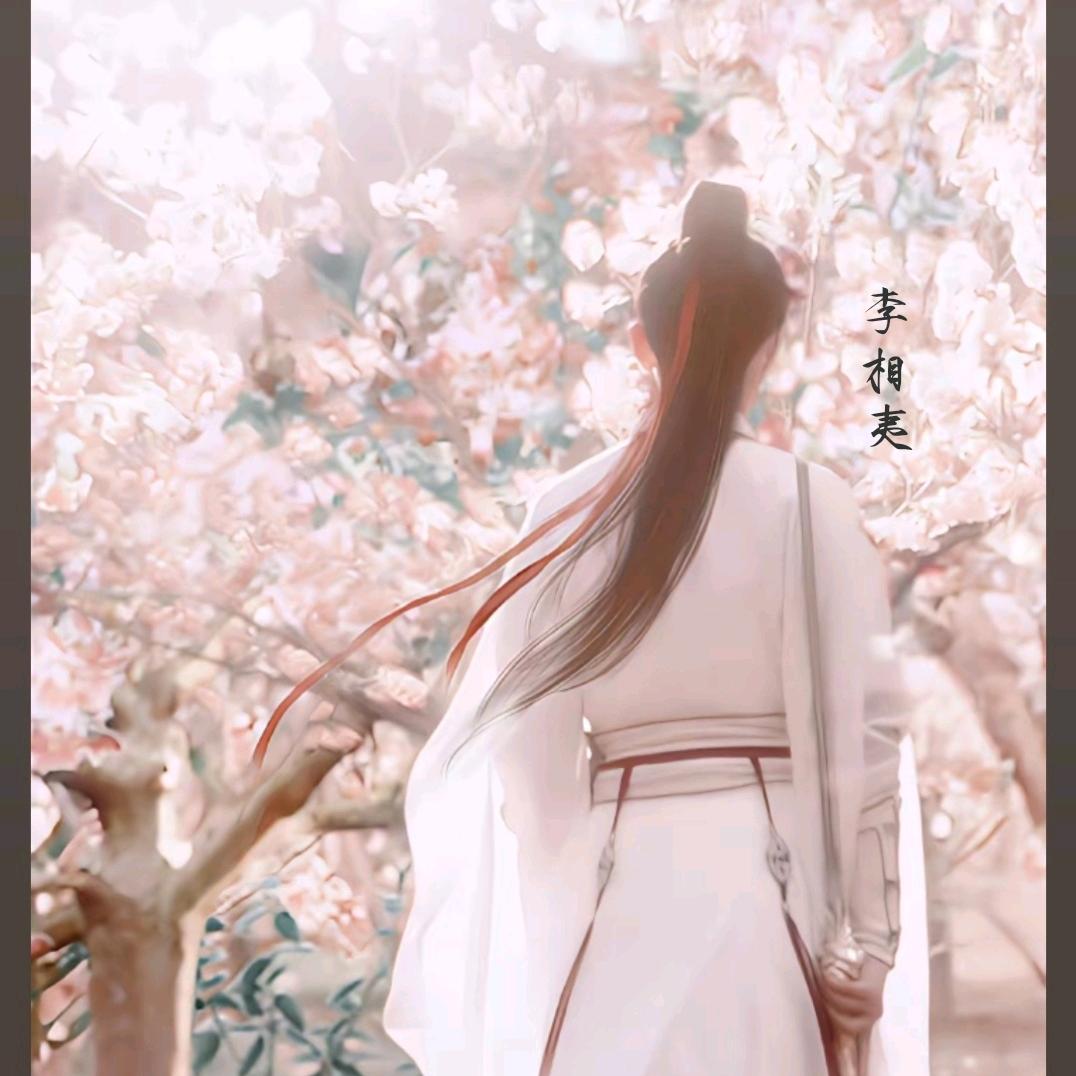 ⚔️剑影惊鸿