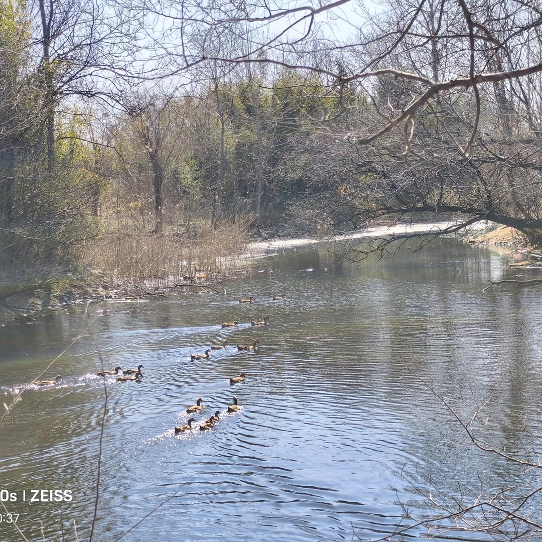 回村的初七 (首播)