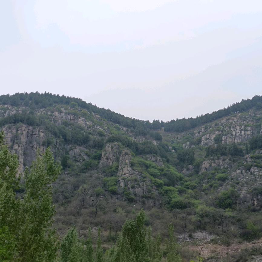 圣成夫子（富氢水）