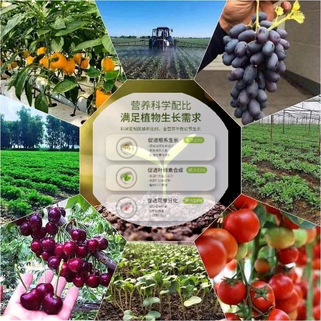 金岁丰农资肥料供应中心