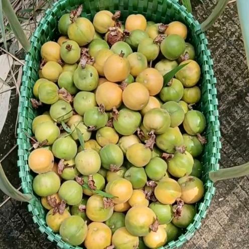 老潘农土产品购销