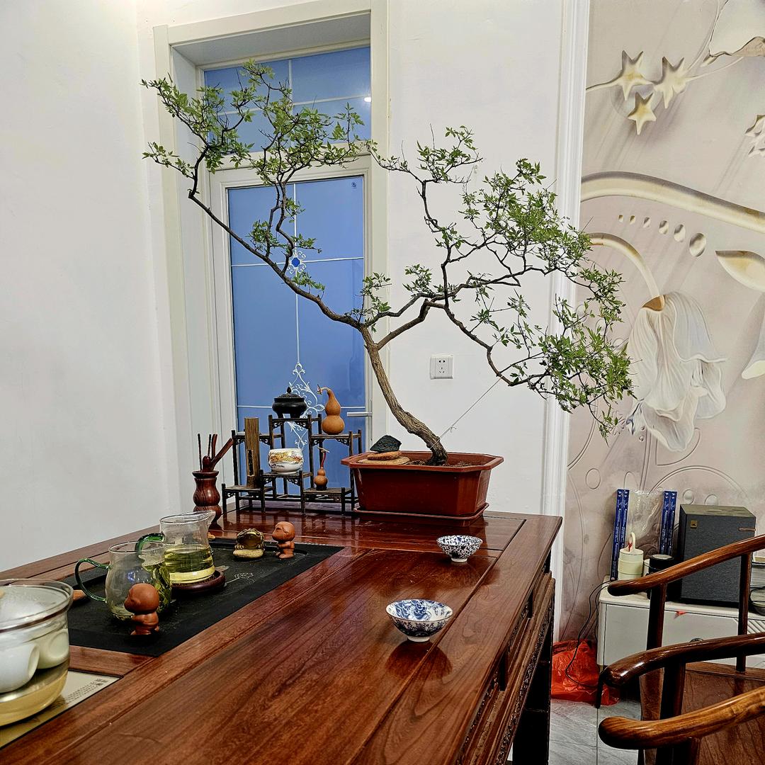 山东黄荆小店